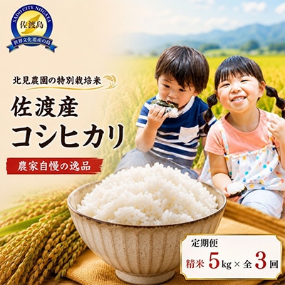 【発送月固定定期便】【数量限定】特別栽培米佐渡産コシヒカリ　精米5kg全3回