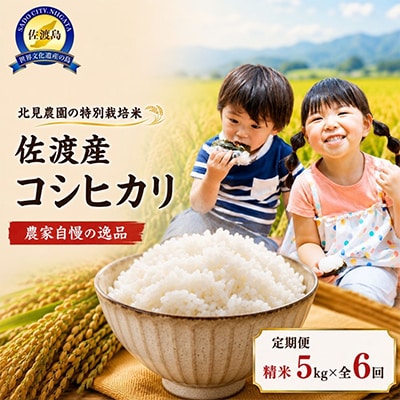 【発送月固定定期便】特別栽培米佐渡産コシヒカリ精米5kg全6回