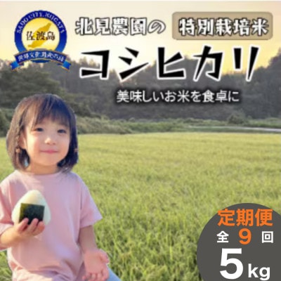 【発送月固定定期便】特別栽培米佐渡産コシヒカリ　精米5kg　全9回