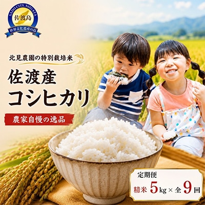 【発送月固定定期便】特別栽培米佐渡産コシヒカリ 精米5kg 全9回