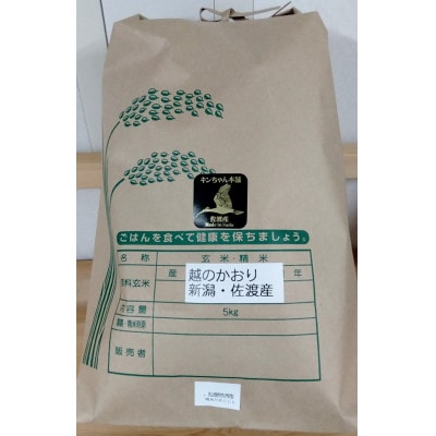 【精米】新潟佐渡産越のかおり5kg　特別栽培米