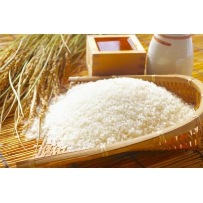 【精米】新潟佐渡産こしいぶき5kg