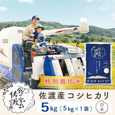 【佐渡島産】特別栽培米 コシヒカリ 白米5Kg 令和4年産