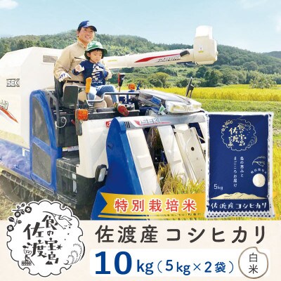 【佐渡島産】特別栽培米 コシヒカリ 白米10Kg 令和4年産