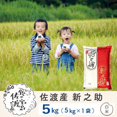 【佐渡島産】 新之助 白米5Kg 令和4年産