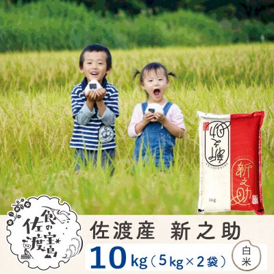 【佐渡島産】 新之助 白米10Kg 令和4年産