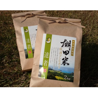 【佐渡島産】達者棚田米(コシヒカリ)白米4kg　令和4年産