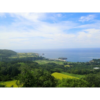 【佐渡島産】達者棚田米(コシヒカリ)白米4kg　令和4年産