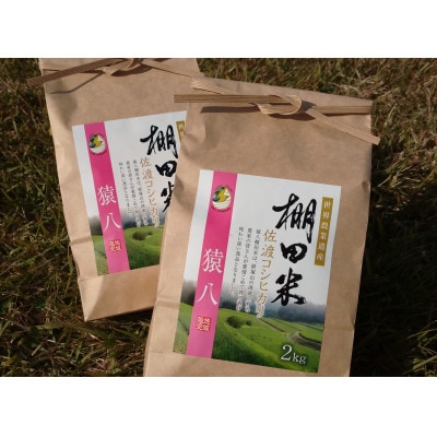 【佐渡島産】猿八棚田米(コシヒカリ)白米4kg　令和4年産