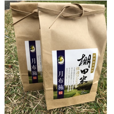 【佐渡島産】月布施棚田米(コシヒカリ)白米4kg　令和4年産