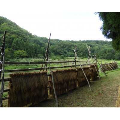 【佐渡島産】月布施棚田米(コシヒカリ)白米4kg　令和4年産