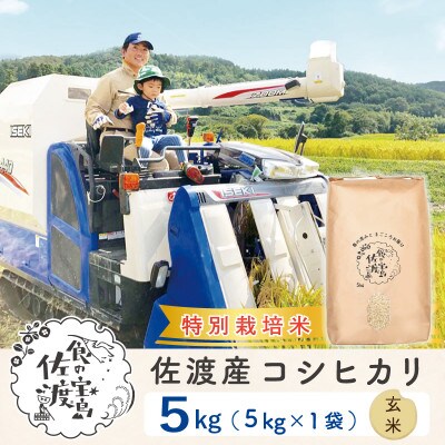 【佐渡島産】特別栽培米 コシヒカリ 玄米5Kg 令和4年産　