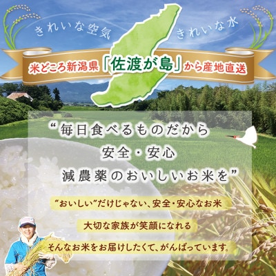 【佐渡島産】特別栽培米 コシヒカリ 無洗米 5Kg 令和4年産
