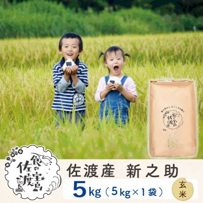 【佐渡島産】 新之助 玄米5Kg 令和4年産