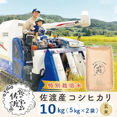 【佐渡島産】特別栽培米 コシヒカリ 玄米10Kg 令和4年産