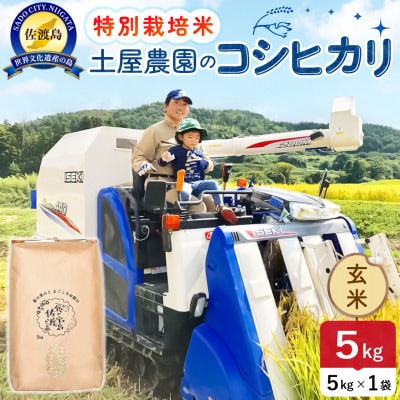 【新米】令和8年産 佐渡島産コシヒカリ 玄米5kg 土屋農園 農家直送 特別栽培米