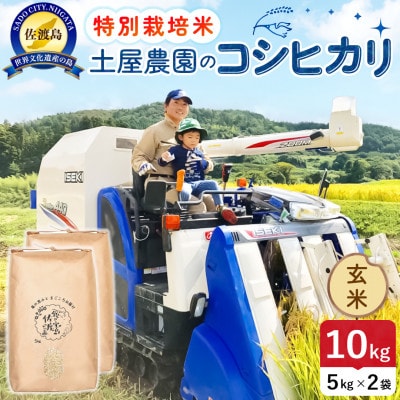 【新米】令和8年産 佐渡島産コシヒカリ 玄米10kg 土屋農園 農家直送 特別栽培米