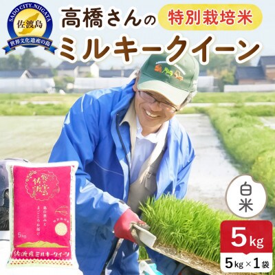 【新米】令和8年産 佐渡島産ミルキークイーン 白米5kg 特別栽培米【食の宝島佐渡】