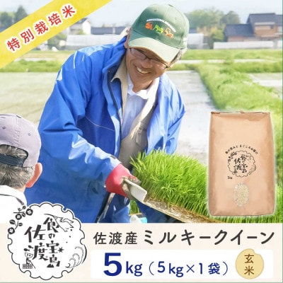 佐渡島産ミルキークイーン 玄米5Kg 令和7年産 特別栽培米