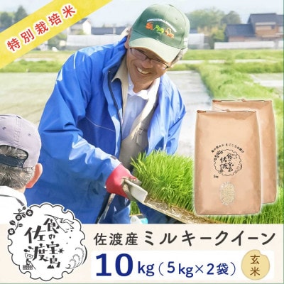 佐渡島産ミルキークイーン 玄米10Kg(5Kg×2袋) 令和7年産 特別栽培米