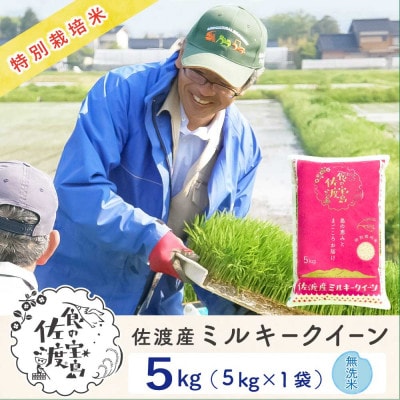 佐渡島産ミルキークイーン 無洗米5Kg 令和7年産 特別栽培米