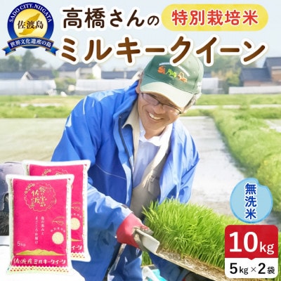 【新米】令和8年産 佐渡島産ミルキークイーン 無洗米10kg 特別栽培米【食の宝島佐渡】