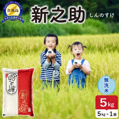 【新米】令和8年産 佐渡島産新之助 無洗米5kg【食の宝島佐渡】