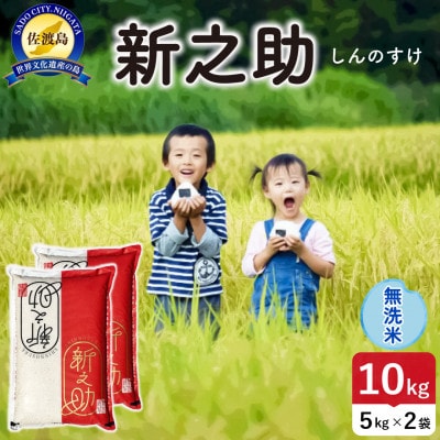 【新米】令和8年産 佐渡島産新之助 無洗米10kg【食の宝島佐渡】