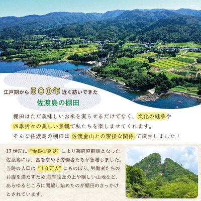 【令和6年産】佐渡島の棚田米(猿八地区)白米4kg(2Kg×2袋)