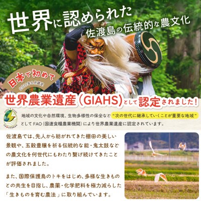 【令和6年産】佐渡島の棚田米(猿八地区)白米4kg(2Kg×2袋)