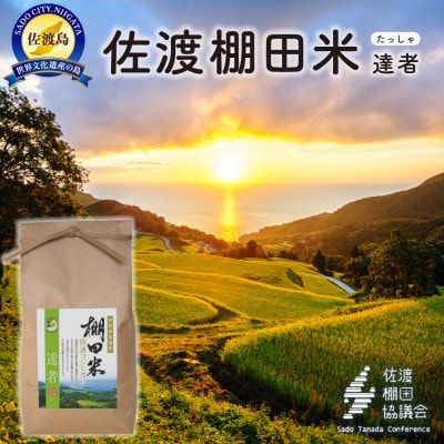 佐渡島産コシヒカリ 達者棚田米 白米4Kg(2Kg×2袋)【令和7年産】