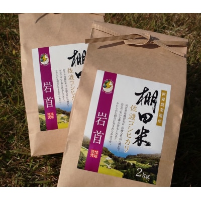 【令和5年産】佐渡島の棚田米(岩首地区)白米4kg(2Kg×2袋)
