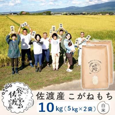 【令和6年産】佐渡島産こがねもち もち精米10Kg(5Kg×2袋)