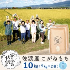 【令和5年産】佐渡島産こがねもち 無洗米10Kg(5Kg&times;2袋)