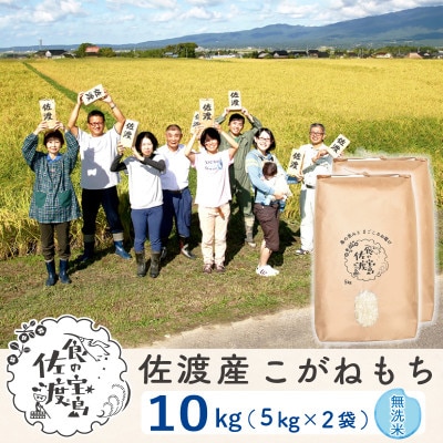 【令和6年産】佐渡島産こがねもち 無洗米10Kg(5Kg×2袋)