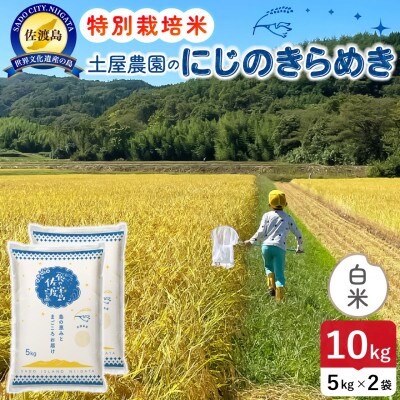 【新米】令和8年産 佐渡島産にじのきらめき 白米10kg 土屋農園 農家直送 特別栽培米