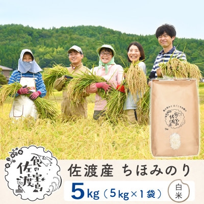 【令和5年産】佐渡島産ちほみのり 白米5Kg ～農薬5割減～