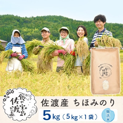 【令和5年産】佐渡島産ちほみのり 無洗米5kg ～農薬5割減～