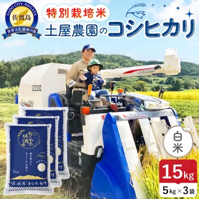 【新米】令和8年産 佐渡島産コシヒカリ 白米15kg 土屋農園 農家直送 特別栽培米