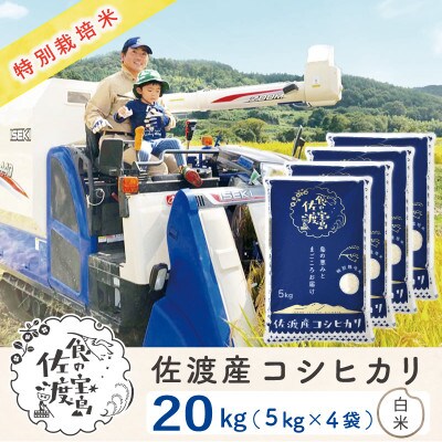 【令和6年産】佐渡島産コシヒカリ 白米20Kg(5Kg×4袋) 特別栽培米