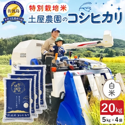 【新米】令和8年産 佐渡島産コシヒカリ 白米20kg 土屋農園 農家直送 特別栽培米