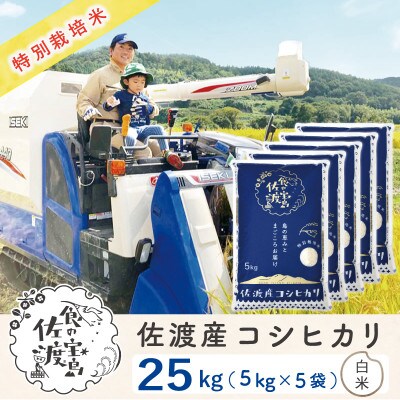 【令和6年産】佐渡島産コシヒカリ 白米25Kg(5Kg×5袋) 特別栽培米