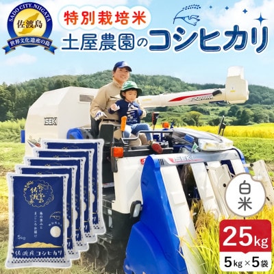 【新米】令和8年産 佐渡島産コシヒカリ 白米25kg 土屋農園 農家直送 特別栽培米