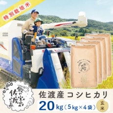 【令和5年産】佐渡島産コシヒカリ 玄米20kg(5kg&times;4袋) 特別栽培米