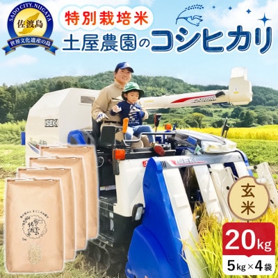 【新米】令和8年産 佐渡島産コシヒカリ 玄米20kg 土屋農園 農家直送 特別栽培米