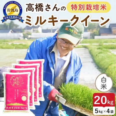 【新米】令和8年産 佐渡島産ミルキークイーン 白米20kg 特別栽培米【食の宝島佐渡】