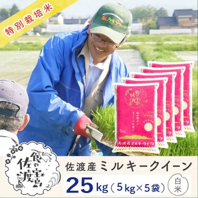 佐渡島産ミルキークイーン 精米25kg(5kg×5袋)　令和7年産 特別栽培米