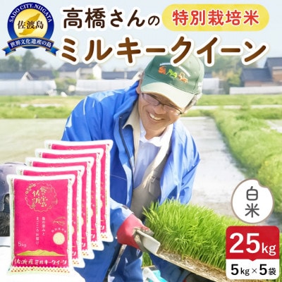 【新米】令和8年産 佐渡島産ミルキークイーン 白米25kg 特別栽培米【食の宝島佐渡】