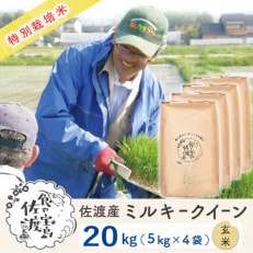 【令和5年産】佐渡島産ミルキークイーン 玄米20kg(5kg&times;4袋) 特別栽培米