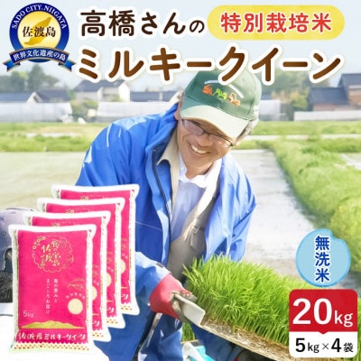 【新米】令和8年産 佐渡島産ミルキークイーン 無洗米20kg 特別栽培米【食の宝島佐渡】